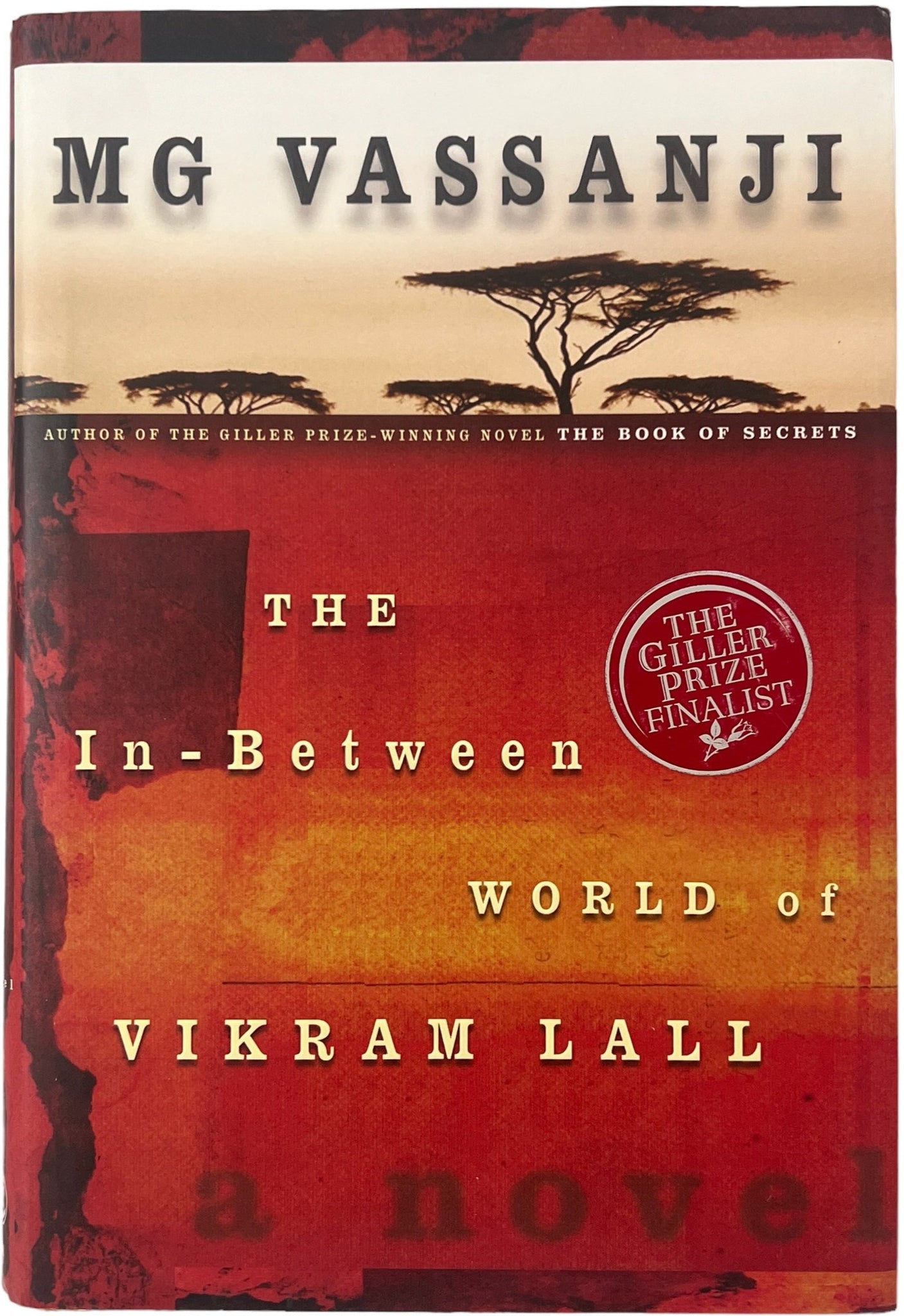 The In-Between World of Vikram Lall