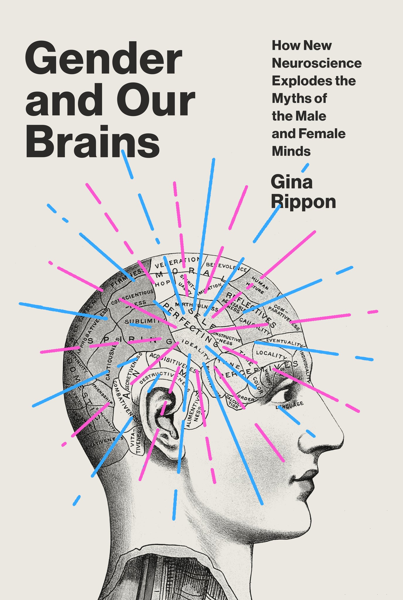 Gender and Our Brains