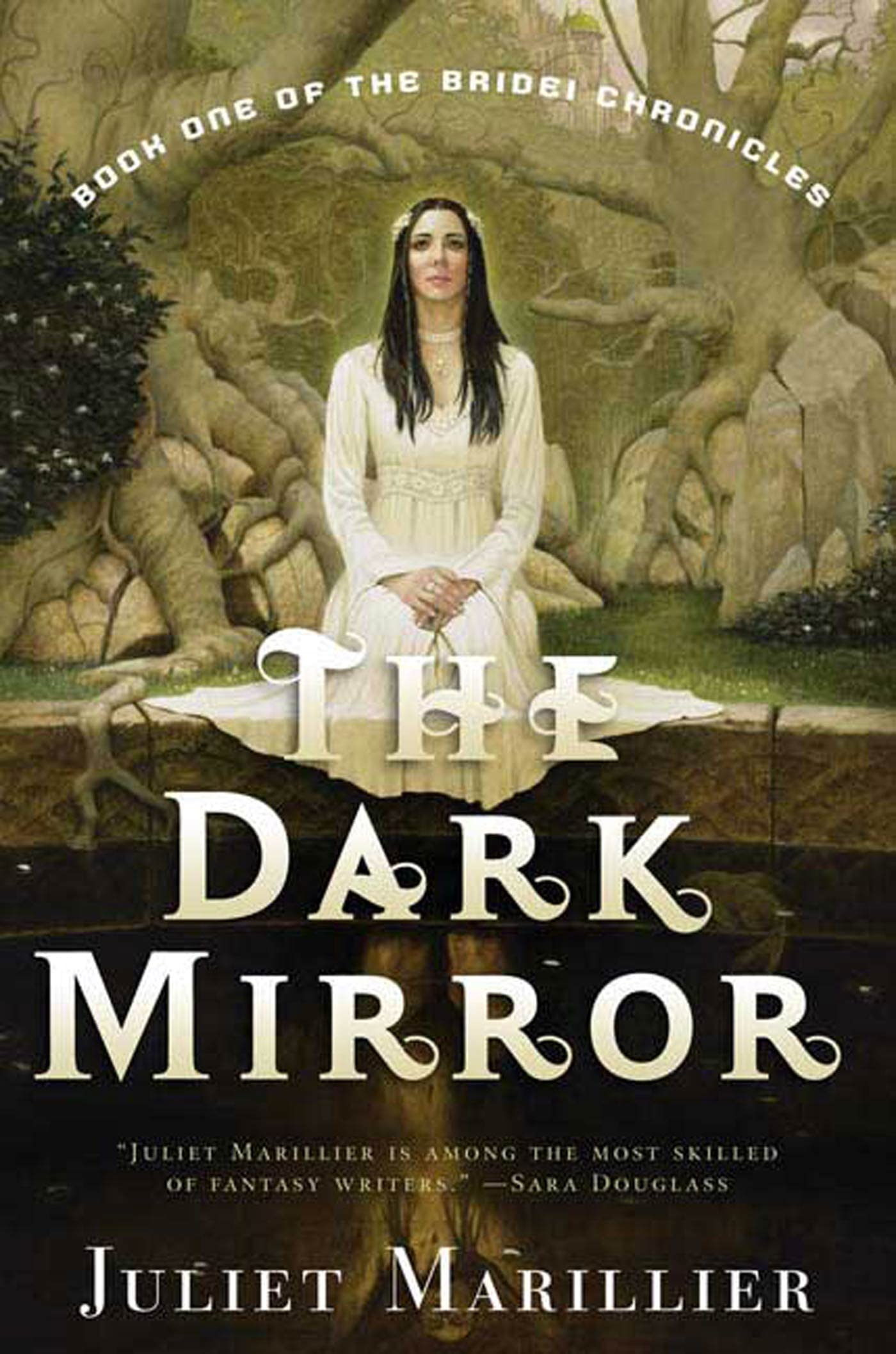 The Dark Mirror: Book One of the Bridei Chronicles – LAFA Brands