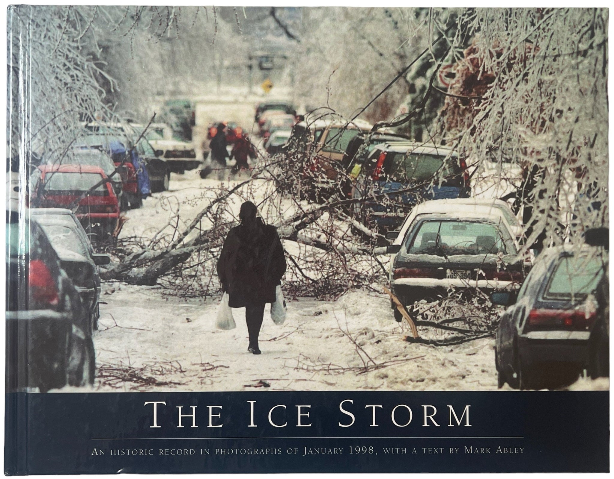 The Ice Storm